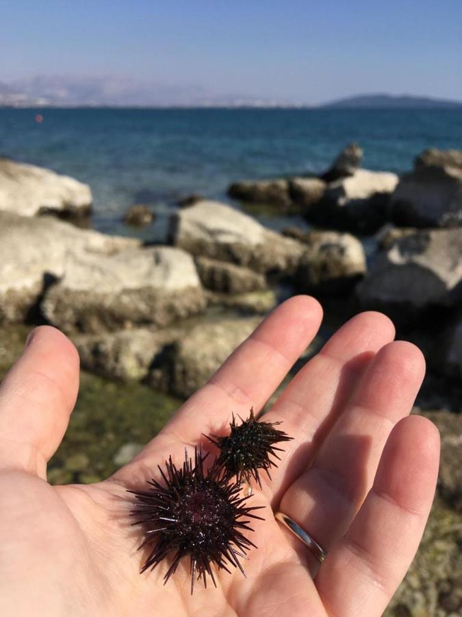 Kaštela Barba Luka, Near Beach, Beautiful Views 아파트 외부 사진